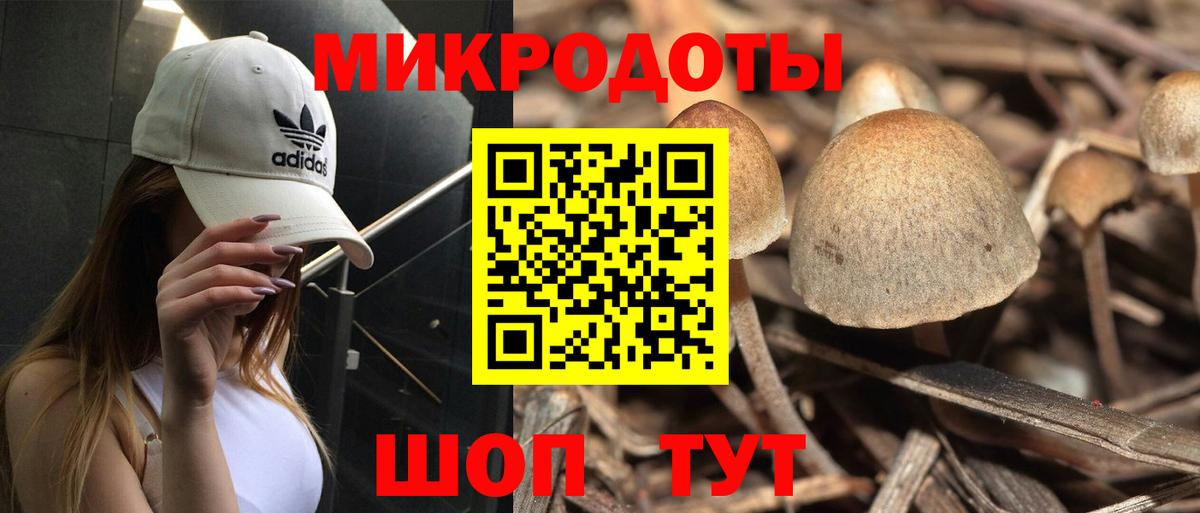 Сланцы  Псилоцибиновые грибы Magic Shrooms  Вход с VPN 