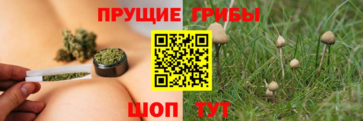 Псилоцибиновые грибы ЛСД Сланцы