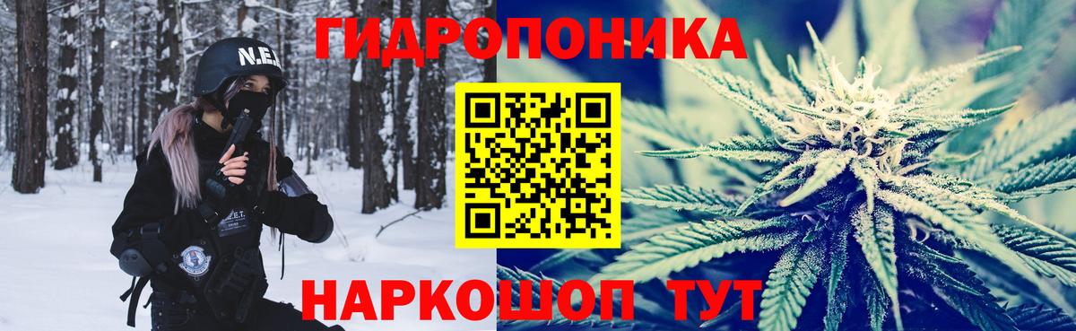 Сланцы  Каннабис OG Kush  Конопля марихуана  Вход с VPN  Канабис SATIVA & INDICA  Канабис THC 21% 